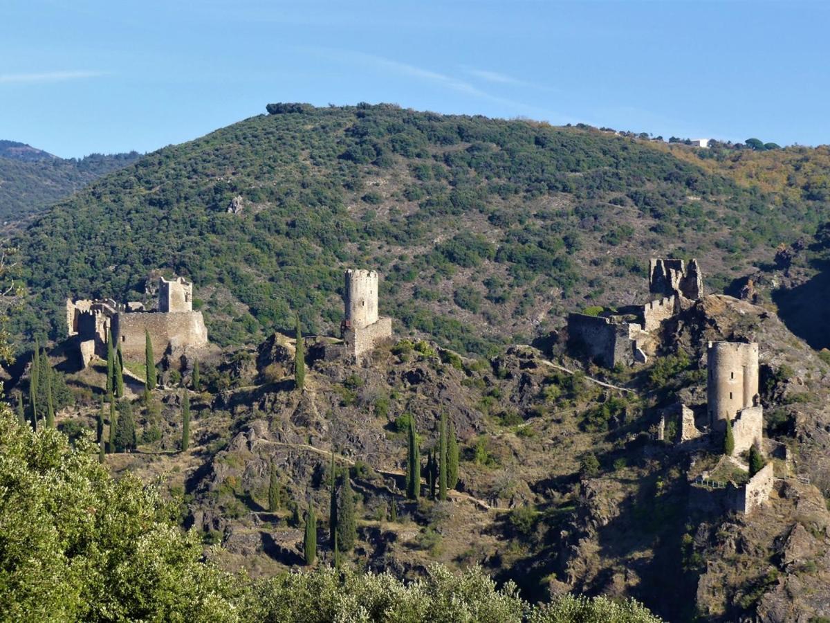 Au Soleil Couchant Villemoustaussou Exterior foto